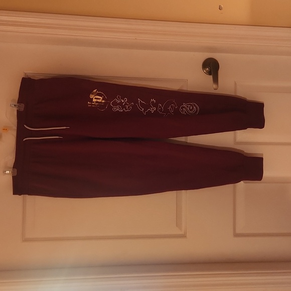 Warner Bros. Pants - Harry Potter houses joggers Large